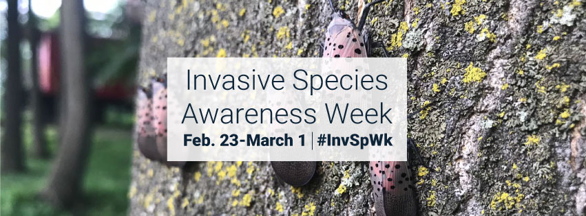 invasive species awareness week 2026