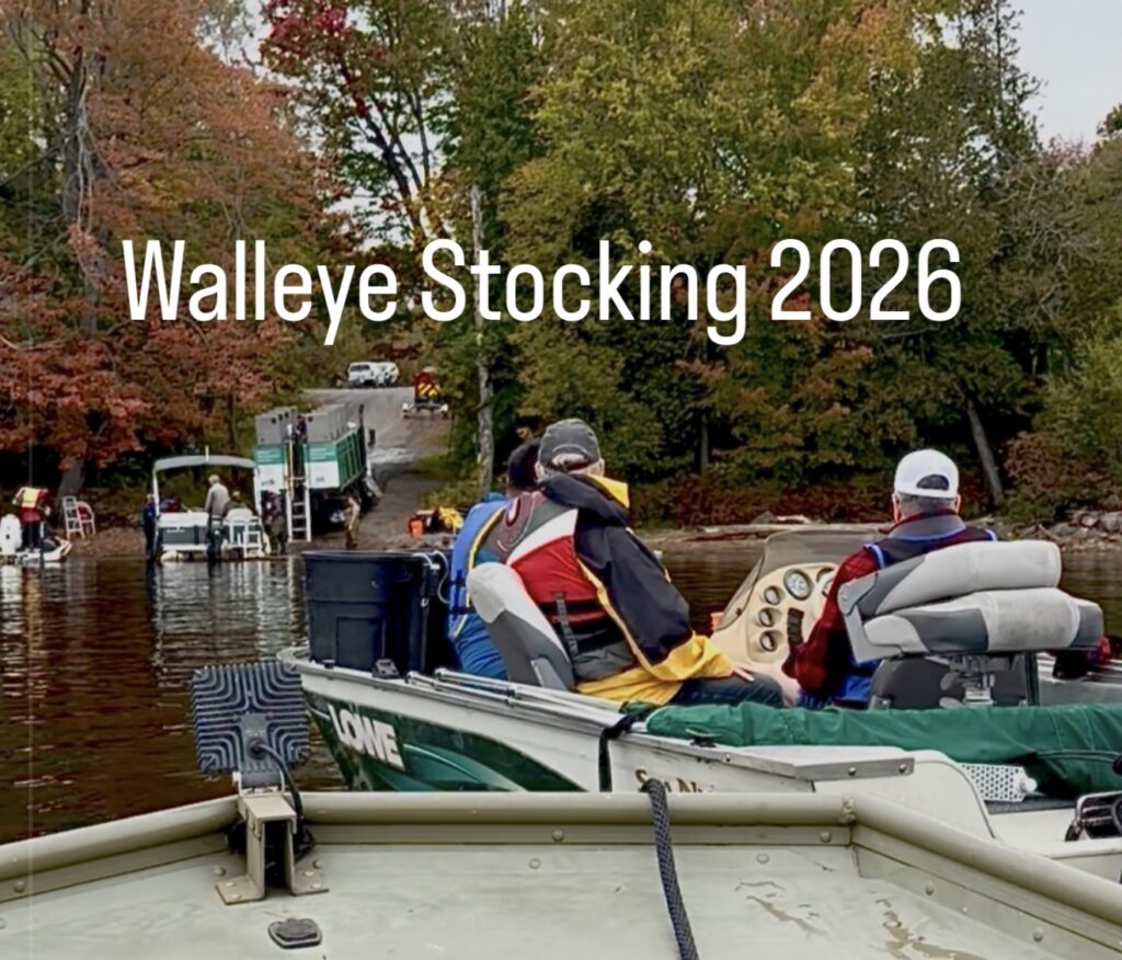 Massive boost to Walleye population in Bobs Lake